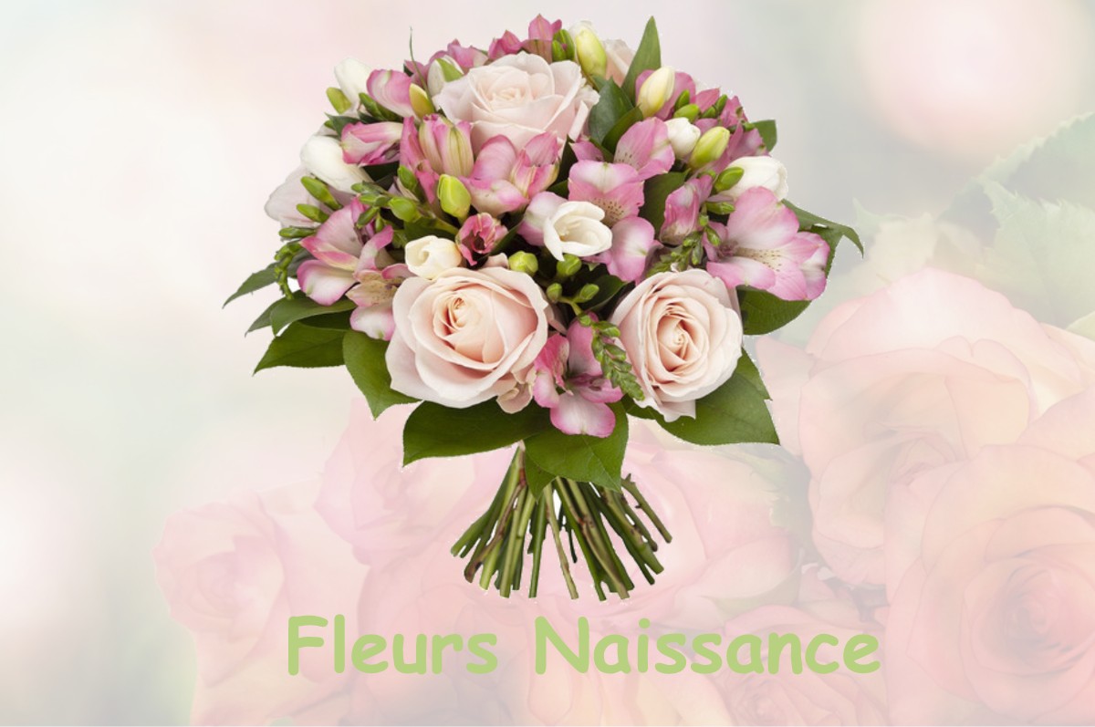 fleurs naissance SAINT-SAVOURNIN